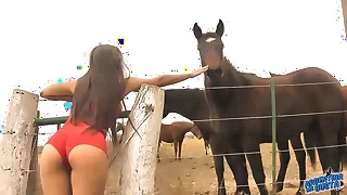 Buzz Fuck Movies 9